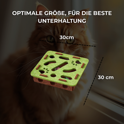 Smart-Paws | Mehr Spaß, weniger Langeweile