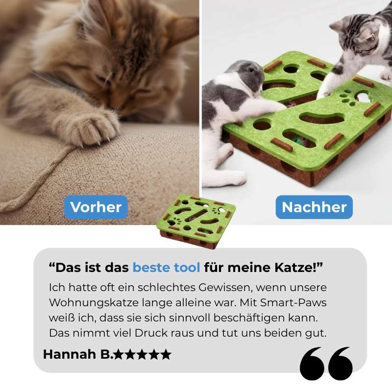 Smart-Paws | Mehr Spaß, weniger Langeweile