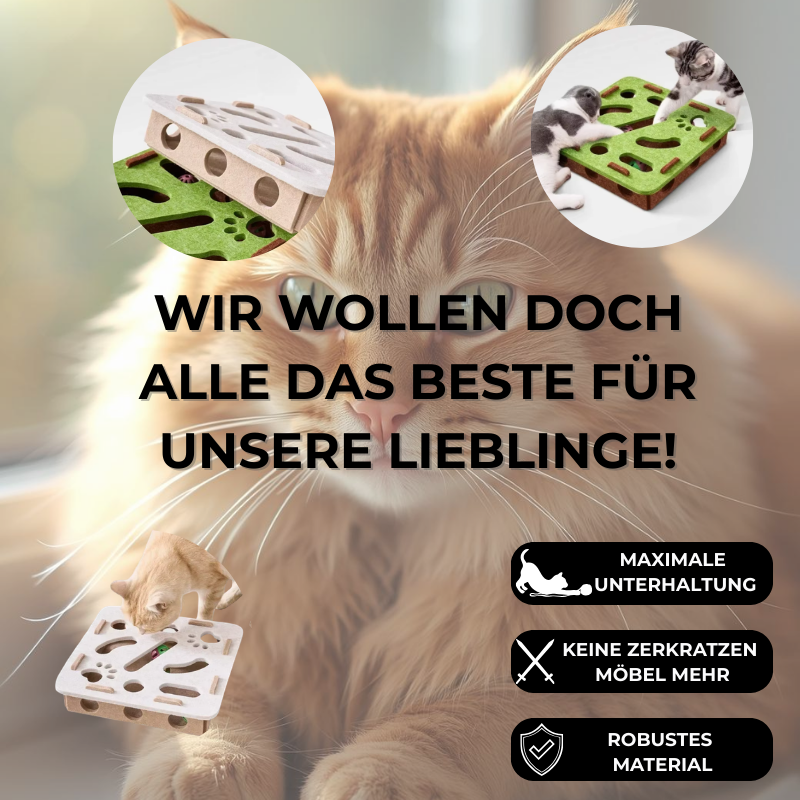 Smart-Paws | Mehr Spaß, weniger Langeweile