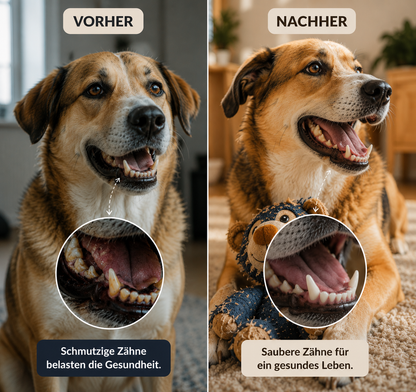 Dogolino | Teddy für gesunde Zähne